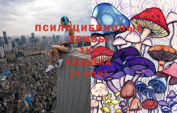 спайс Алексеевка