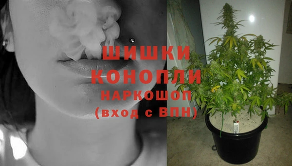 трава Алексин