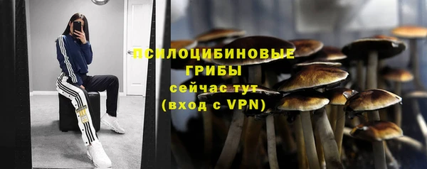 трава Алексин