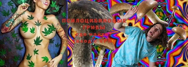 спайс Алексеевка