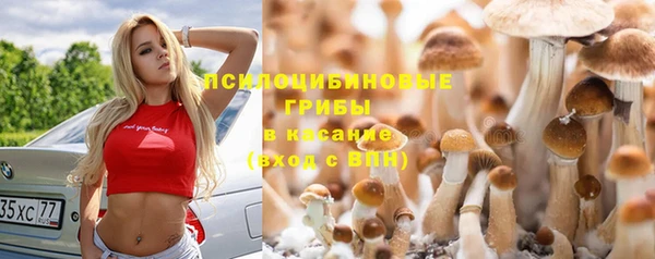 jwh Алзамай