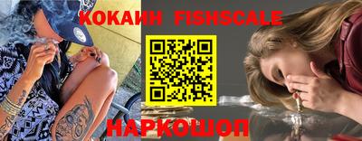 крисы Апшеронск