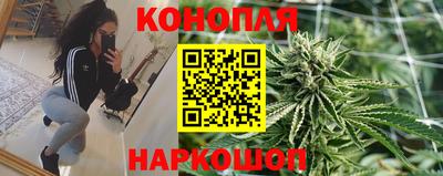 крисы Апшеронск