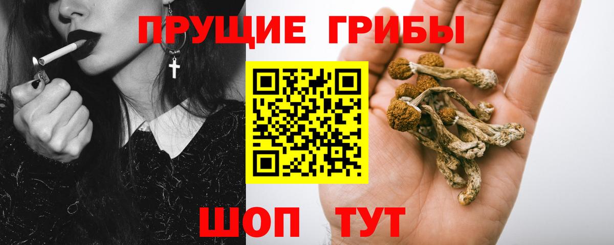 Галлюциногенные грибы ЛСД  где купить наркоту  Вход с VPN  Березники  Галлюциногенные грибы MAGIC MUSHROOMS 